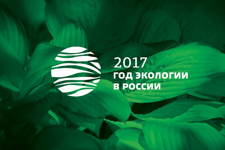 2017 год объявлен годом Экологии в России